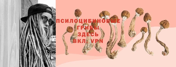 ALPHA-PVP Белокуриха