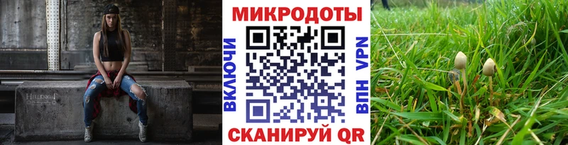 Псилоцибиновые грибы мухоморы  дарк нет телеграм  Городовиковск 